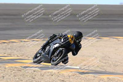 media/Jan-13-2024-SoCal Trackdays (Sat) [[9c032fe5aa]]/Bowl Exit Set 1 (1125am)/
